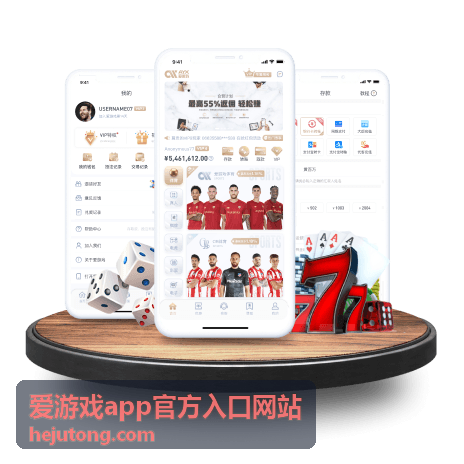 爱游戏app官方入口网站 高级会员档位说明配图