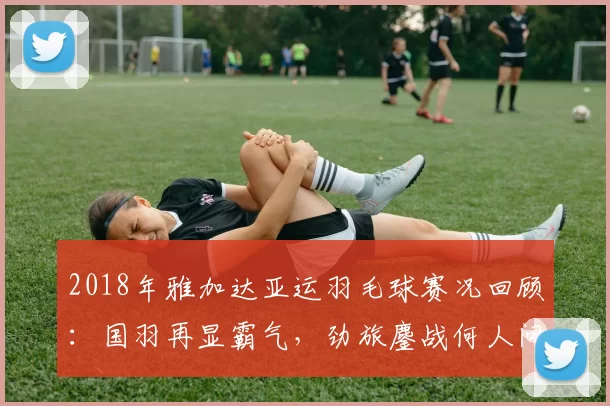 2018年雅加达亚运羽毛球赛况回顾：国羽再显霸气，劲旅鏖战何人问鼎