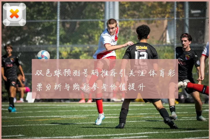 双色球预测号码推荐引关注 体育彩票分析与购彩参考价值提升