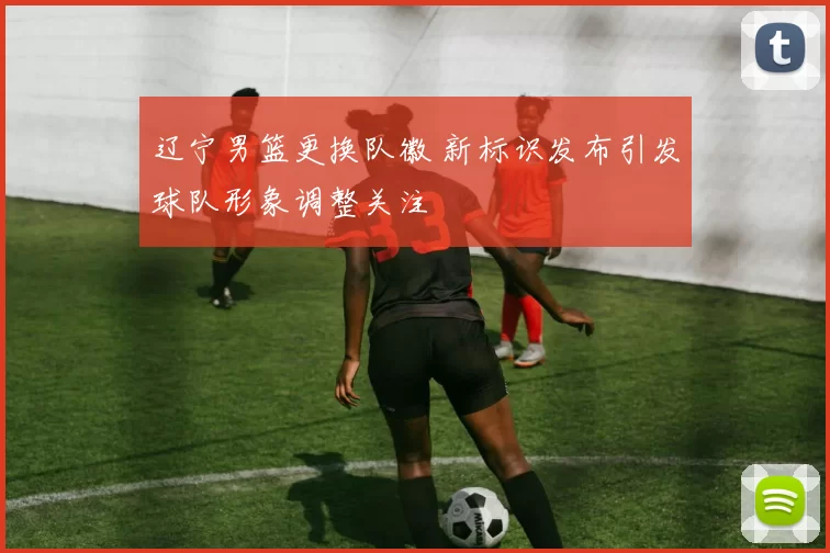 辽宁男篮更换队徽 新标识发布引发球队形象调整关注