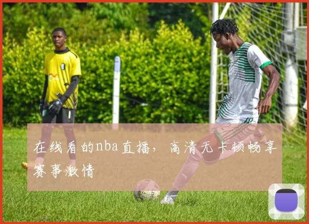 在线看的nba直播，高清无卡顿畅享赛事激情