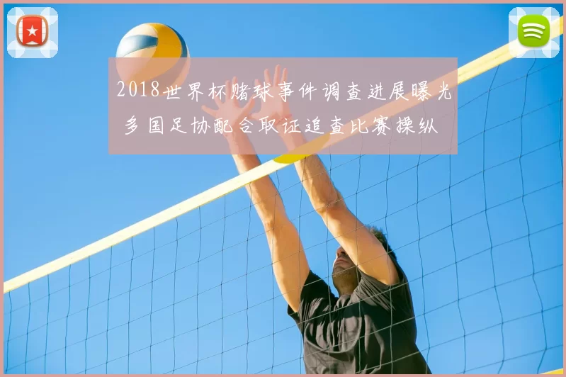 2018世界杯赌球事件调查进展曝光 多国足协配合取证追查比赛操纵