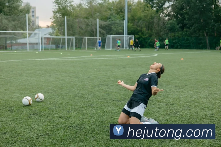 完美体育官网APP 封面图